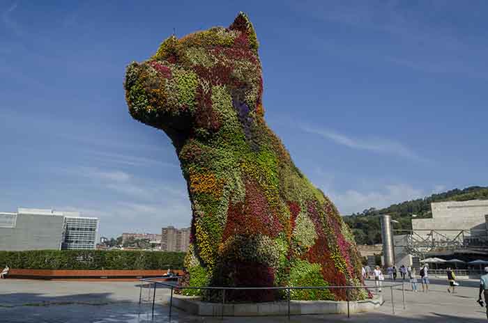 Vizcaya - Bilbao - museo Guggenheim 05 - escultura floral Puppy.jpg